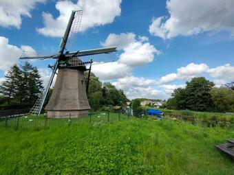 Apartamento Cosy Tiny House In Bollenstreek Vlakbij Het Strand