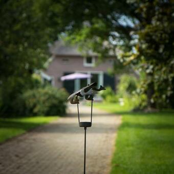 Bed En Brood De Groot