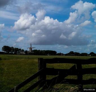 Bed & Breakfast The Wee White Hoose