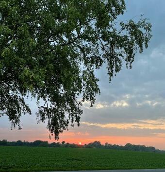 Bed & Breakfast Glivarpag�rden