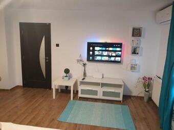 Apartamento Garsoniera Mihaela