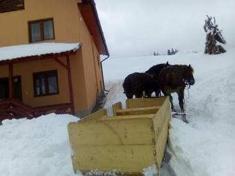 Lodge Cabana Gabriela