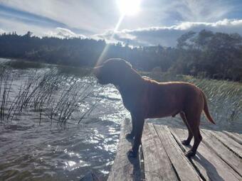 Villa Laguna De Tota Paraiso