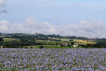 Agroturismo Ferienhof Neundlinger