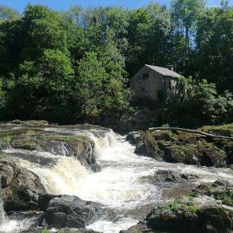 Cottage By The River In Cenarth With Fishing And Wifi