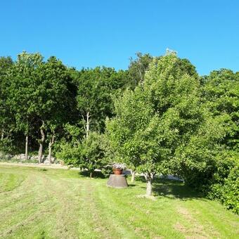 Agroturismo Stenaberg