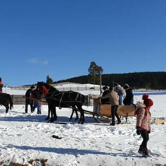 Hostal Pensiunea Catalina