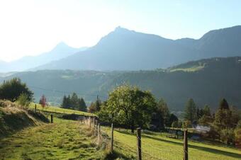 Apartamento Ferienwohnung Krennbauer