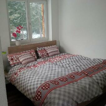 Ferienhaus Skiblume