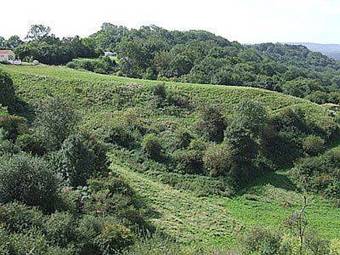 Buzzards View