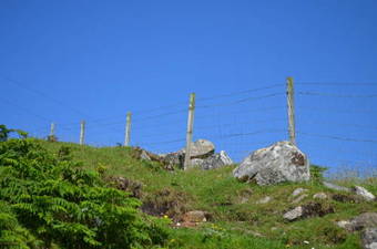 Highland Holiday House