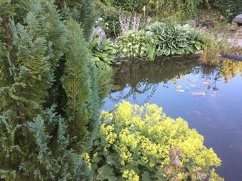 Bed & Breakfast Sibbarp