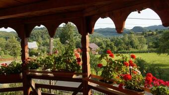 Hostal Pensiunea Maria