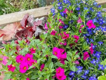 Holiday Home Romakloster