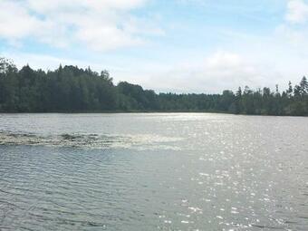 Ver fotos