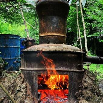 Relaxare In Sohodol, Alba