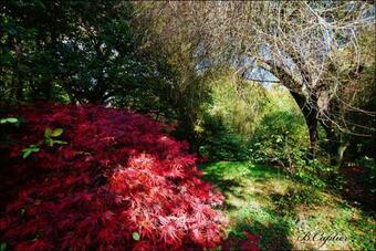 Manoir Pors Braz - G�te Des Boudiged