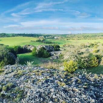 Domaine De Tapies - 2 G�tes - Jusqu?� 10 Personnes