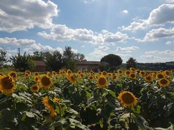 Bed & Breakfast Les Hauts De Sames