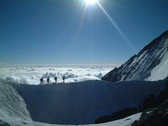 Au Paradis Des Grillons