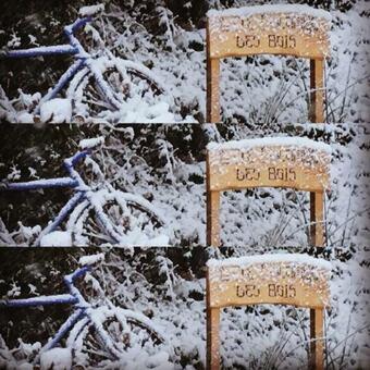 Gite Colombe Des Bois