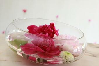 Hotel H�tel Le Roosevelt