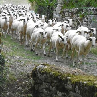Bed & Breakfast Les Roulottes Du Lot