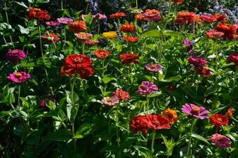 Bed & Breakfast Les Hauts Du Causse