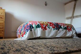 Hostal La Belle Alsacienne - Route Des Vins D'alsace