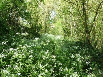 Bed & Breakfast Chateau De Puissentut