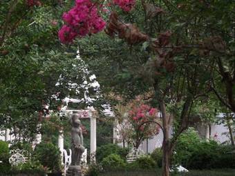 Bed & Breakfast Edgewood Plantation