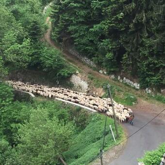 Apartamento La Maison D'ilhan