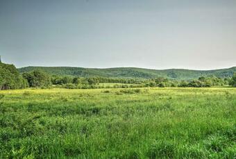 Great Valley Mtn House On 30 Acres With Pond And Grill