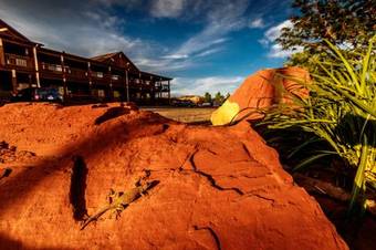Posada Desert Rose Inn & Cabins