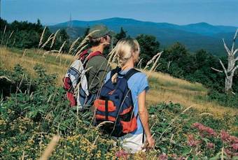 Apartamentos Stratton Mountain Resort/vantage Point Condominium