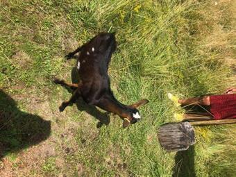 Hostal Le Domaine Des Pr�s