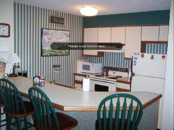 Aparthotel Mountain Lodge At Okemo