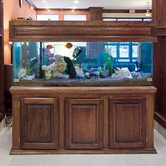 Hotel Comfort Inn & Suites West