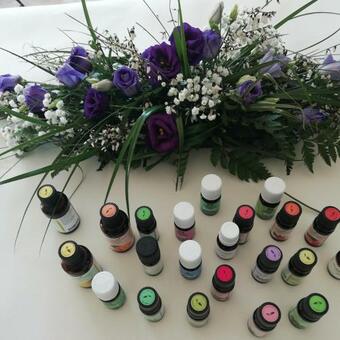 Bed & Breakfast Villa Bretonne