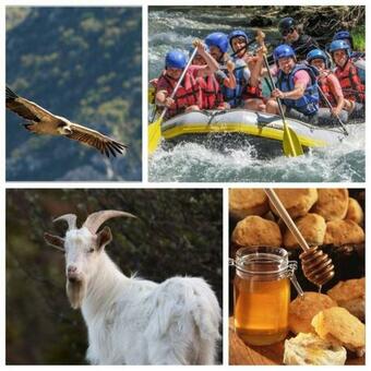 V�ritable Mas Proven�al Guest-house