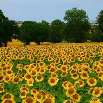 Bed & Breakfast Au Garcin