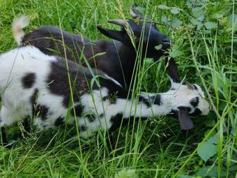 Apartamento Le Studio De Jacobiel