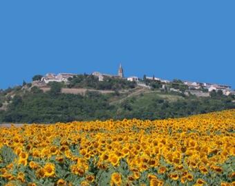 Chambre Parentale Dans Maison De Charme Au Coeur Du Lauragais