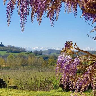 Hostal La Cordilli�re