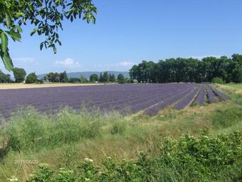 Le Mas Des Restanques