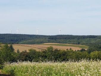 Hostal Chez Black And White