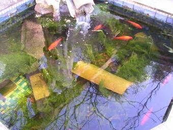 Bed & Breakfast Les Bruyeres Chambre D'h�te De Charme Calme Assur�