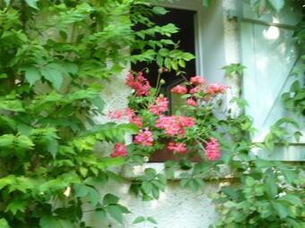 Bed & Breakfast L'or�e Du Bois