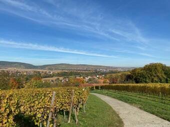 Apartamento Gite "le Platane" 45 M2 - Climatis�