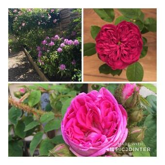 G�te Les Tazons - Pays De George Sand